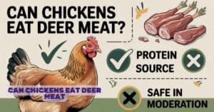 Can Chickens Eat Deer Meat
