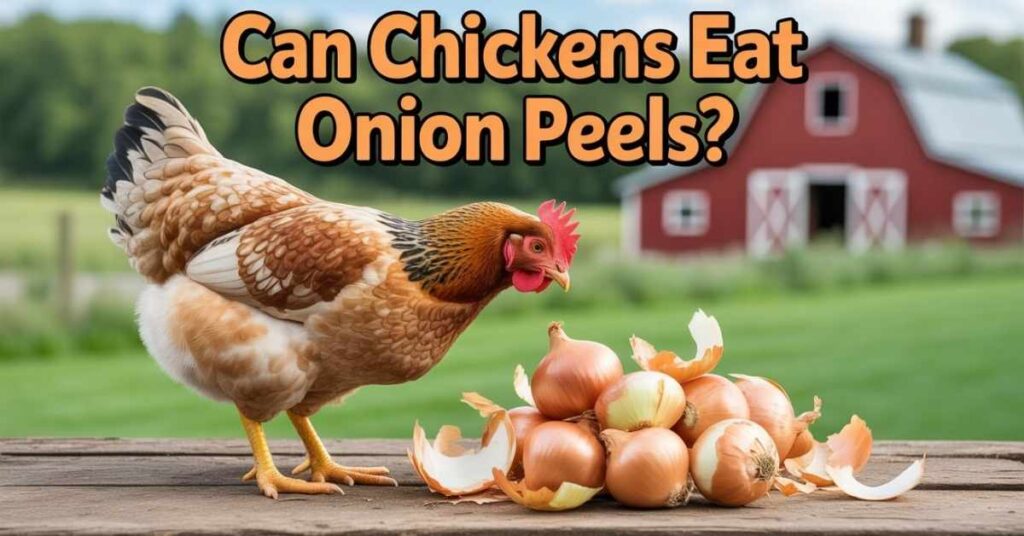 Can Chickens Eat Onion Peels