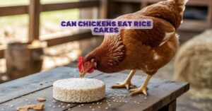 Can Chickens Eat Rice Cakes